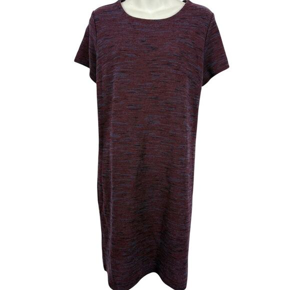 Ann Taylor Loft Women Plum Textured Knit Marled Short Sleeve Shift Style Dress L - Picture 1 of 16